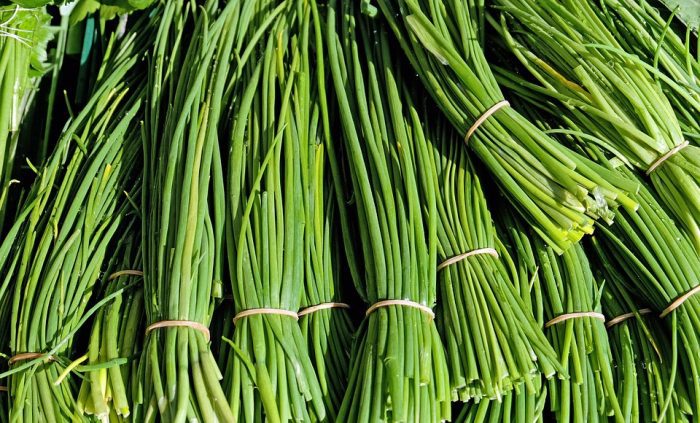 green onions vs chives