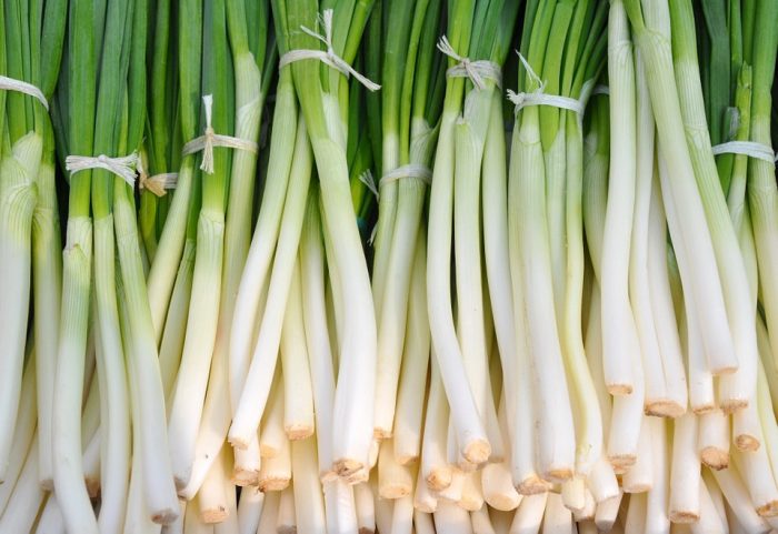 green onions vs chives