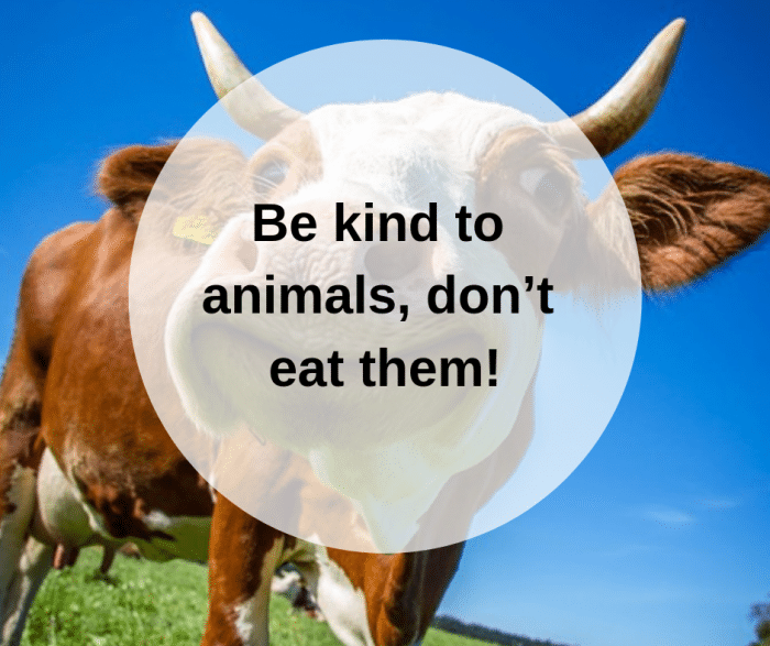 Be kind to animals, don’t eat them!